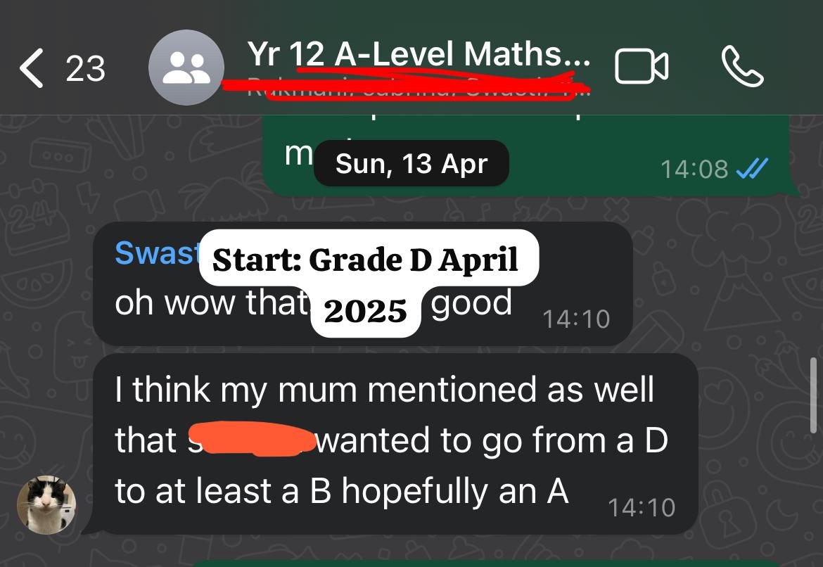 Year 12 Student Before - Grade D in A-Level Maths